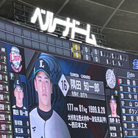 画像242